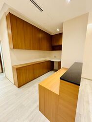 Mount Elizabeth Novena Hospital (D12), Retail #485058341